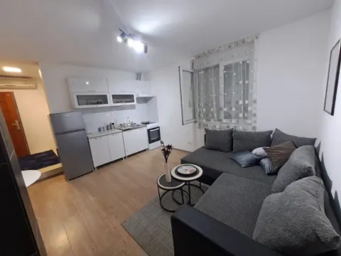 Izdavanje, jednosoban stan, 45m², Centar, Podgorica - image 4