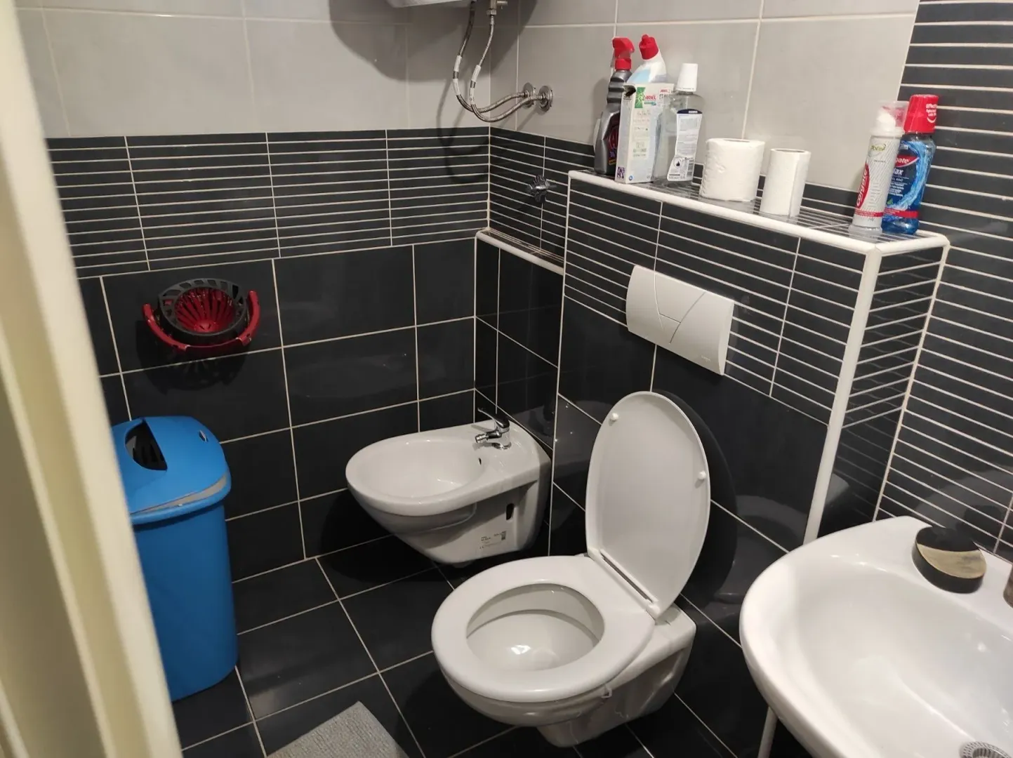 A bathroom with dark tiles, a toilet, and a bidet.