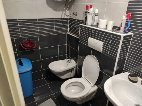 A bathroom with dark tiles, a toilet, and a bidet. - image 16