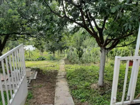 Sale, house, 220m², Novi Sad Sve Podlokacije, Novi Sad - image 2