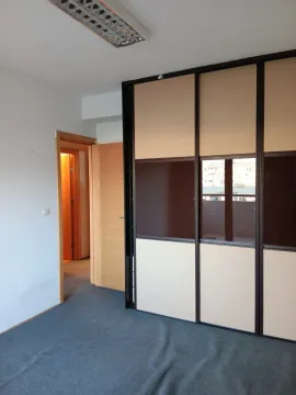 A room with a large built-in wardrobe and carpet. - image 12