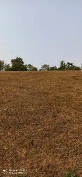 Prostrani travnati plac sa drvećem u pozadini pod vedrim nebom. - image 13