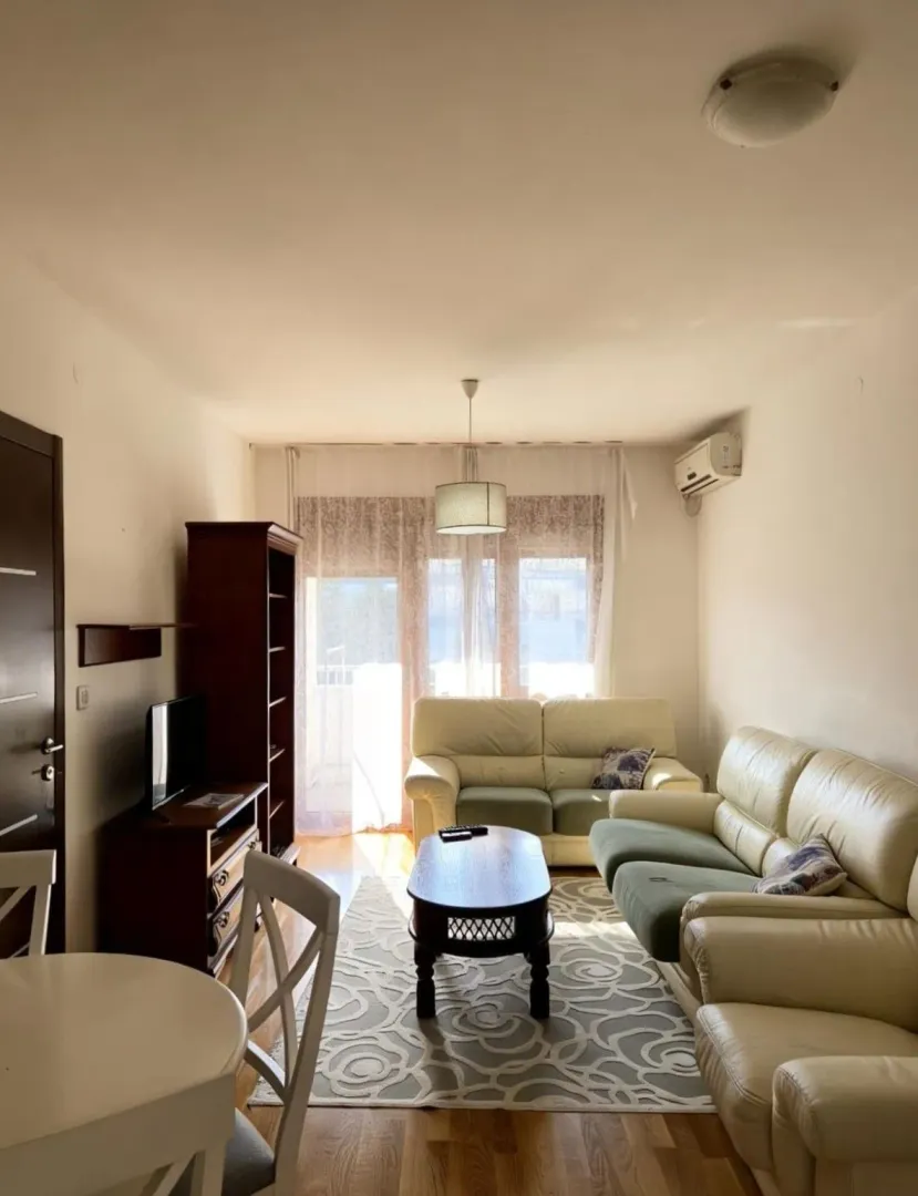 Izdavanje, jednosoban stan, 48m², Preko Morače, Podgorica