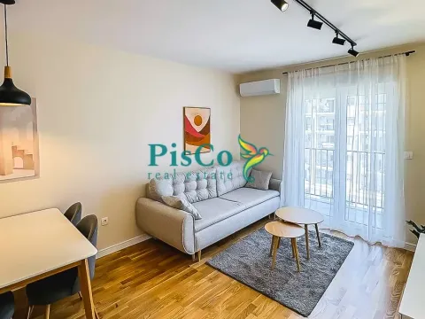 Rent, one bedroom apartment, 40m², Pobrežje, Podgorica - image 7