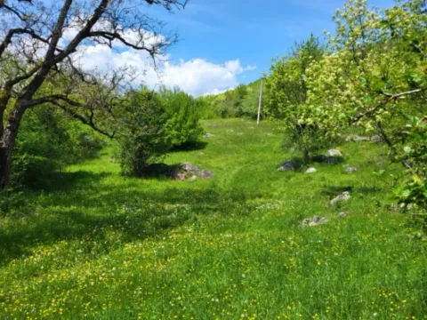 Prodaja, plac, 160000m², Bršno, Nikšić - image 3