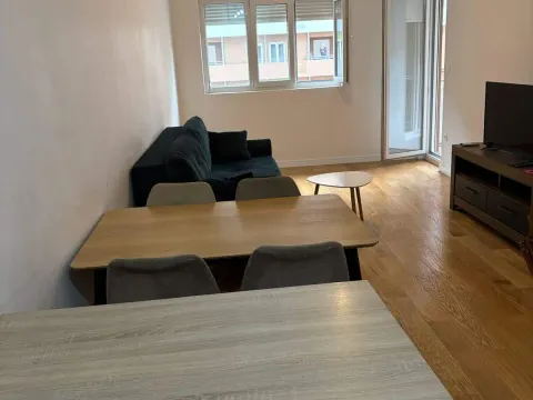 Izdavanje, jednosoban stan, 47m², Central Point, Podgorica - image 10