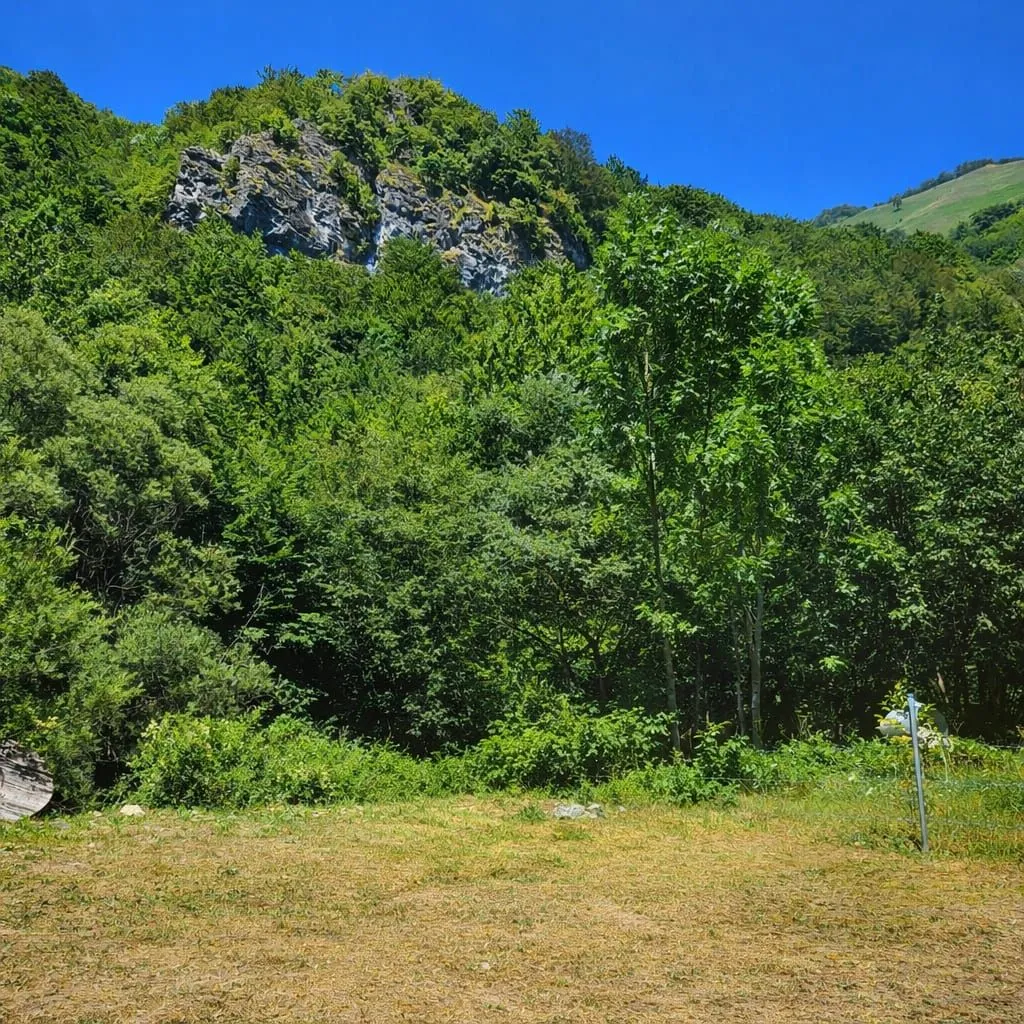 Sale, house, 20m², Centar, Kolašin