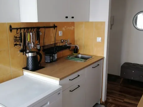 Izdavanje, dvosoban stan, 60m², Stara Varoš, Podgorica - image 3