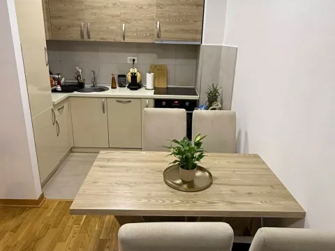 Izdavanje, jednosoban stan, 44m², City Kej, Podgorica - image 2
