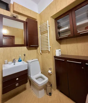 Kompaktno kupatilo sa umivaonikom, wc šoljom i tamnim drvenim elementima. - image 8