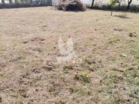 Prodaja, plac, 700m², Mladenovac selo, Mladenovac - image 3