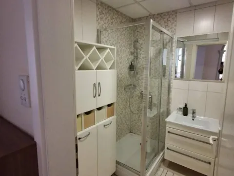 Izdavanje, dvosoban stan, 66m², Spens, Novi Sad Sve Podlokacije - image 8