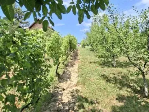 Prodaja, plac, 3000m², Bocke, Petrovaradin - image 17