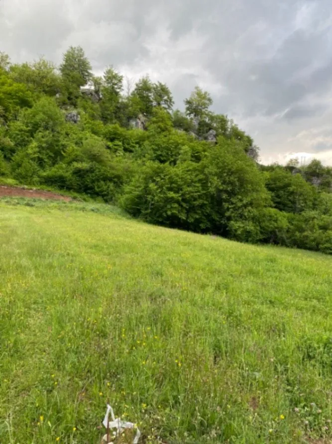 Prodaja, plac, 1728m², Moračko Trebaljevo, Kolašin