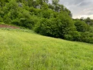Sale, land lot, 1728m², Moračko Trebaljevo, Kolašin - image 3