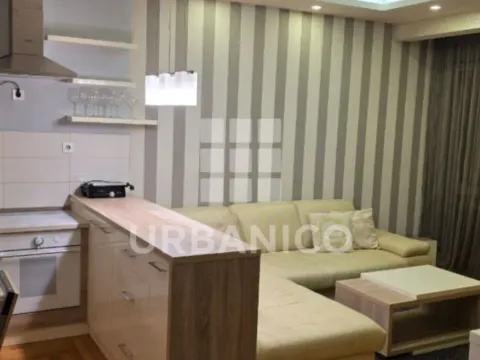 Izdavanje, jednosoban stan, 50m², Ljubović, Podgorica - image 5