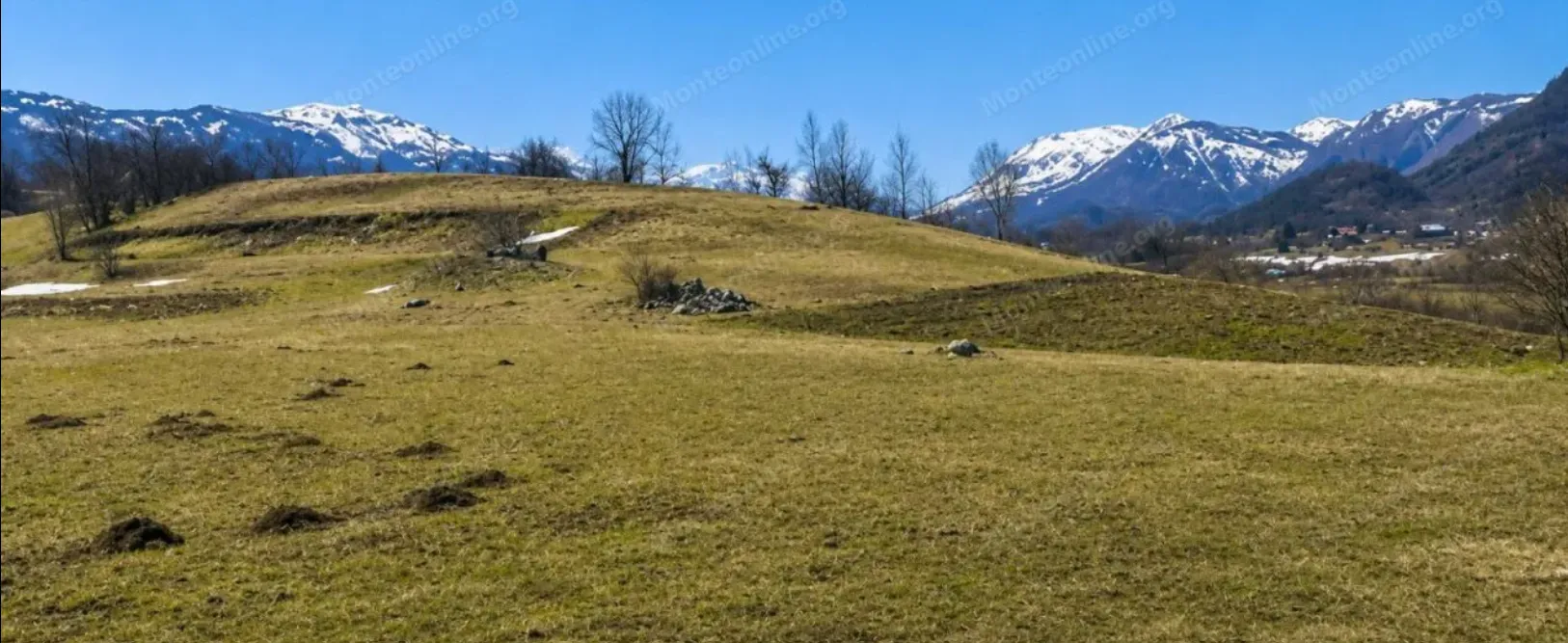 Pogled na prostrano zemljište u prirodi sa planinama u pozadini.