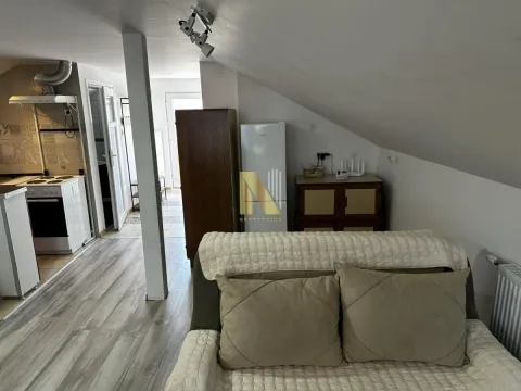 Pogled na dnevnu sobu sa kaučem i manju kuhinju u nastavku potkrovlja. - image 6