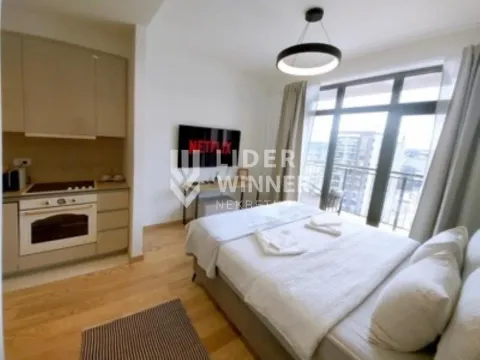 Izdavanje, stan, 30m², Savski Venac, Beograd - image 3