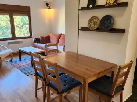 Izdavanje, stan, 42m², Centar, Podgorica - image 11