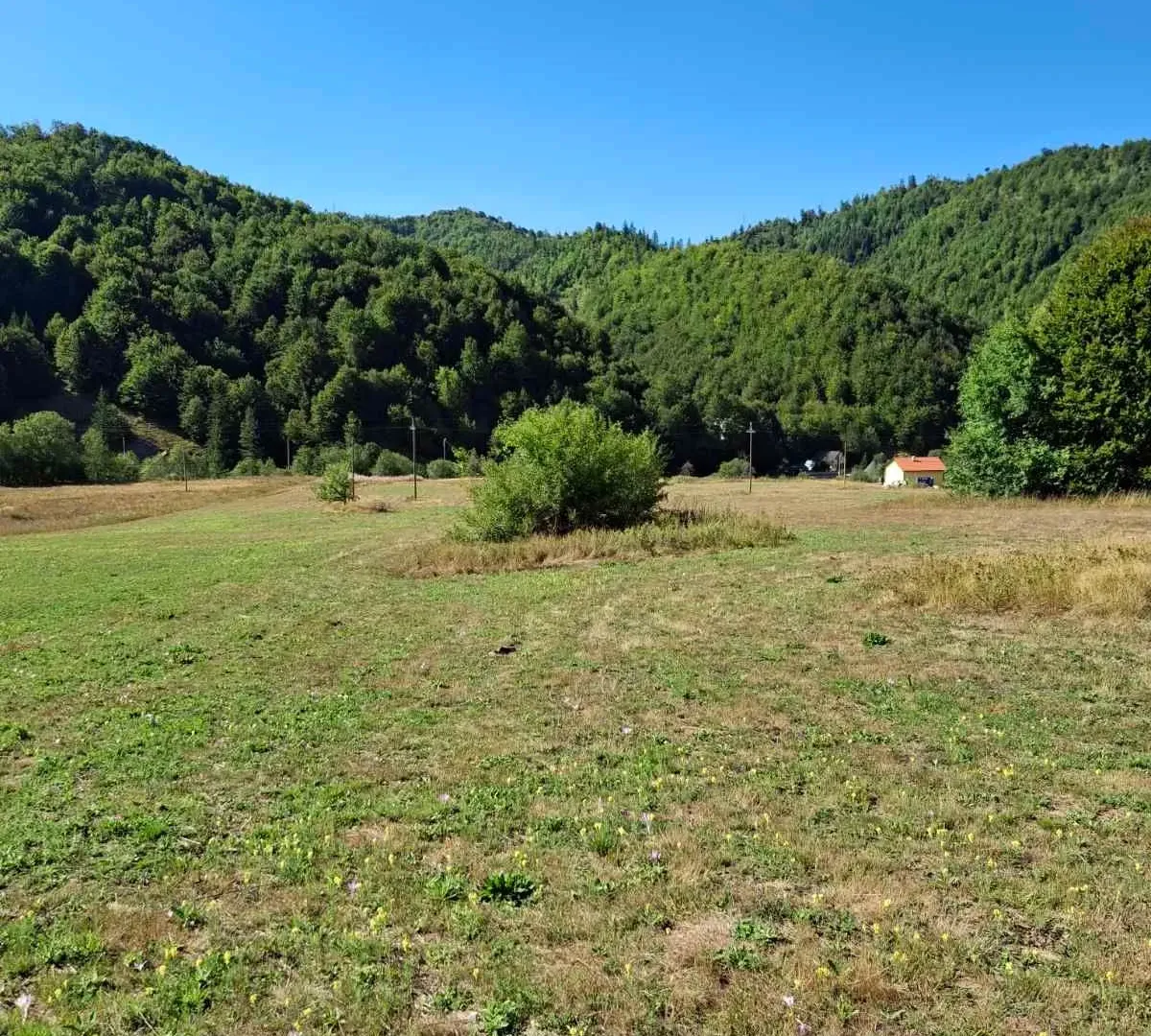 Prodaja, plac, 7000m², Veruša, Podgorica