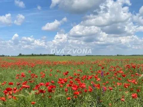 Sale, house, 37m², Čenej, Novi Sad Sve Podlokacije - image 17