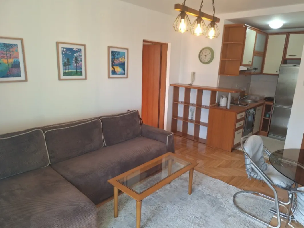 Rent, one bedroom apartment, 45m², Zabjelo, Podgorica