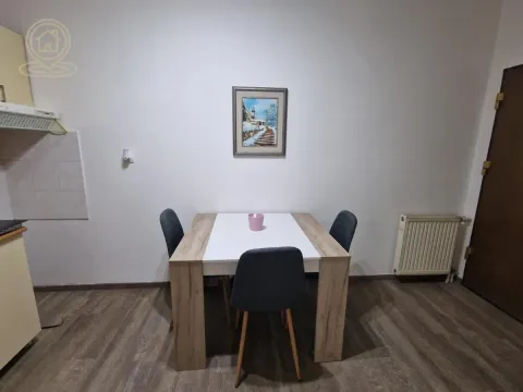 Izdavanje, dvosoban stan, 46m², Sajmište, Novi Sad - image 5