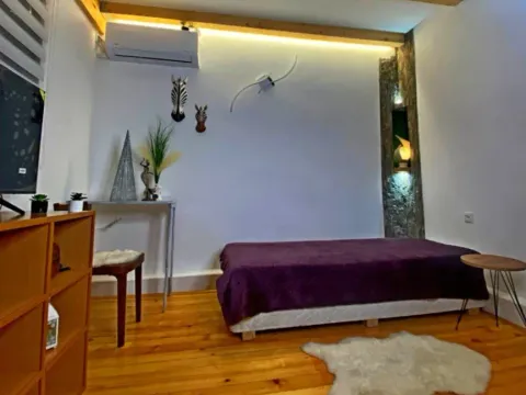 Stan-na-dan, jednosoban stan, 30m², Zemun Centar, Zemun Sve Podlokacije - image 7