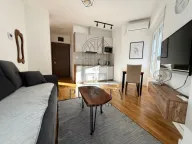 Rent, studio apartment, 24m², Zabjelo, Podgorica - image 8