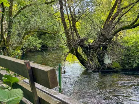 Prodaja, kuća, 230m², Nikšić, Crna Gora - image 4