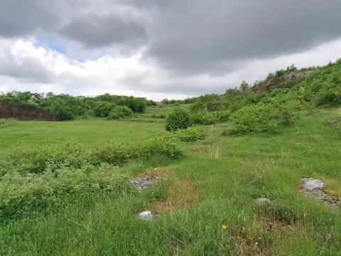 Prodaja, plac, 12650m², Gorica C, Podgorica - image 6