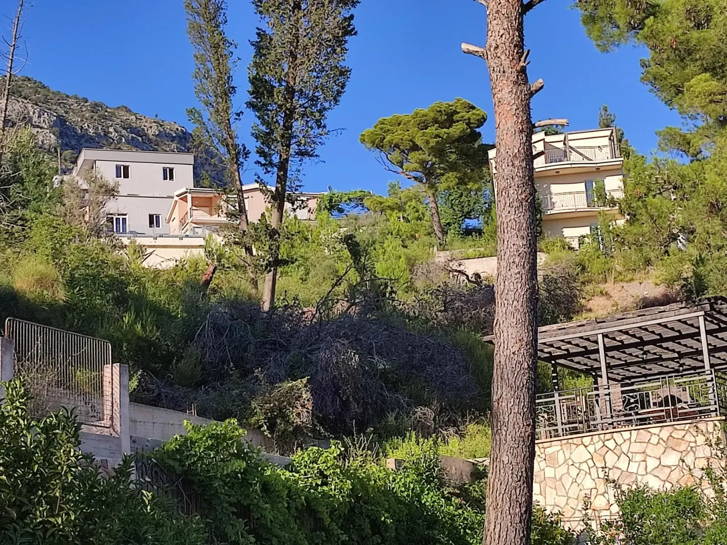 Pogled na kuće okružene zelenilom i drvećem.