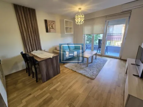 Izdavanje, jednosoban stan, 45m², Centar, Jagodina - image 9