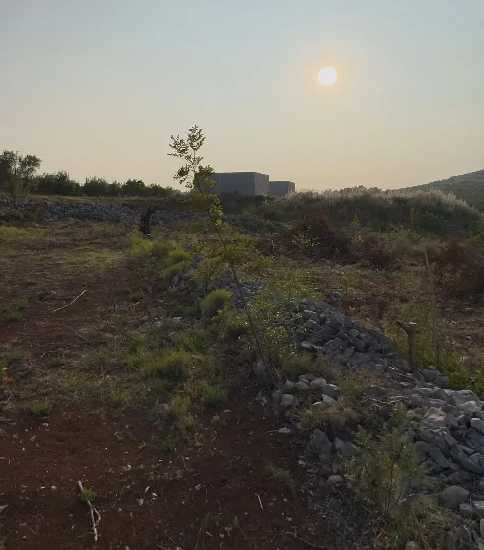 Izdavanje, plac, 3500m², Lješevići, Kotor