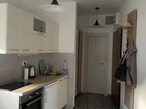 Rent, studio apartment, 28m², Golubovina, Budva - image 5