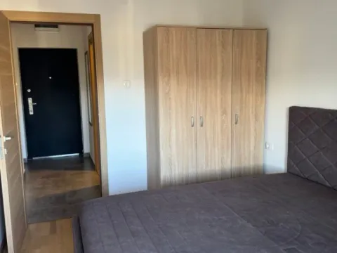 Izdavanje, jednosoban stan, 45m², Pobrežje, Podgorica - image 4