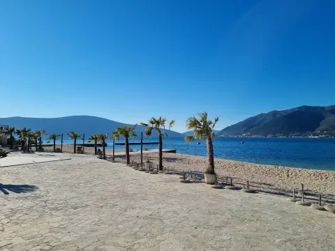 Popločano šetalište pored pješčane plaže sa palmama i pogledom na more. - image 14