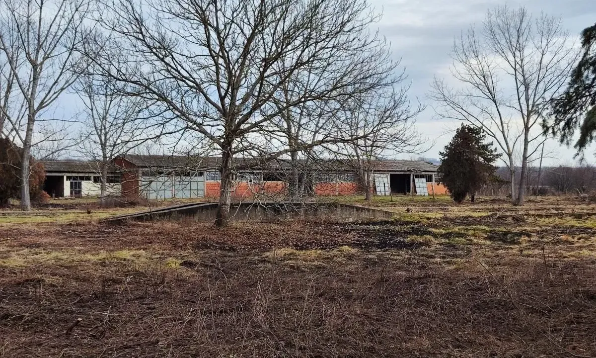 Sale, office space, 1000m², Glogovac, Jagodina