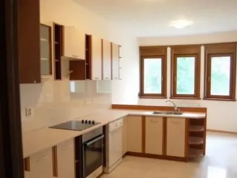 Izdavanje, četvorosoban stan, 200m², Savski Venac, Beograd - image 7