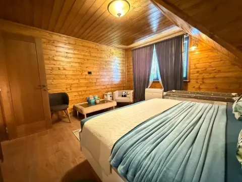 Prodaja, kuća, 270m², Petrovaradin, Novi Sad - image 59