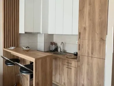 Izdavanje, garsonjera, 30m², Zagorič, Podgorica - image 4