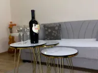 Izdavanje, jednosoban stan, 45m², Vezirov Most, Podgorica - image 2