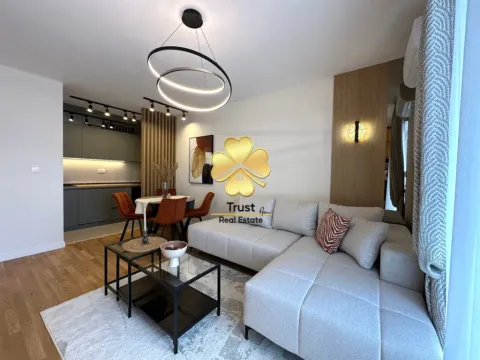 Rent, one bedroom apartment, 45m², Pobrežje, Podgorica - image 1
