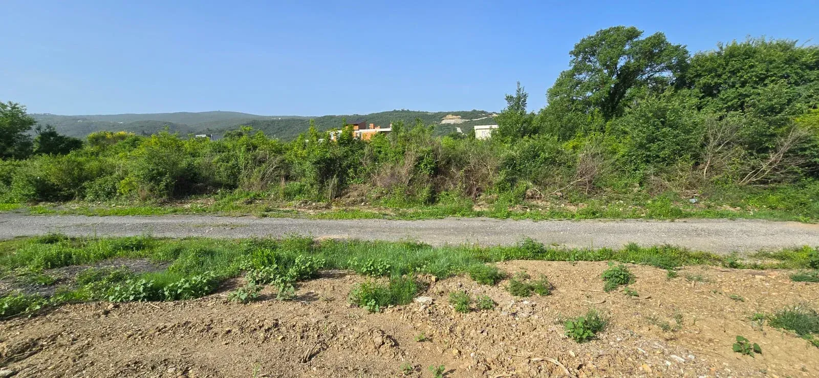 Prodaja, plac, 2924m², Kotor, Crna Gora