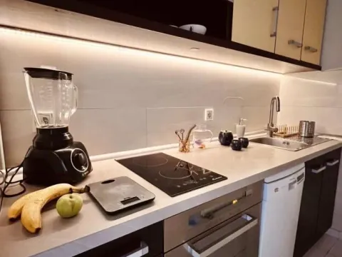 Izdavanje, dvosoban stan, 54m², Bulevar Evrope, Novi Sad Sve Podlokacije - image 8