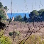 Prodaja, plac, 901m², Sutomore, Bar - image 4