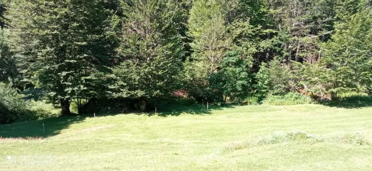 Prodaja, plac, 99100m², Donja Bukovica, Šavnik