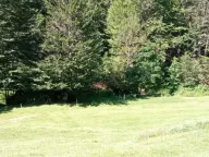 Sale, land lot, 99100m², Donja Bukovica, Šavnik - image 16