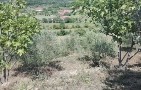 Sale, land lot, 4274m², Kodre, Ulcinj - image 2